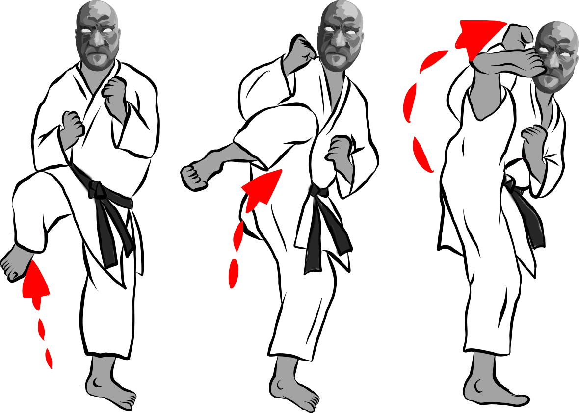 Mawashi geri (Roundhouse kick)